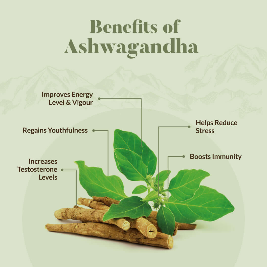 Ashwagandha Ghee 200 Ml - Image 3