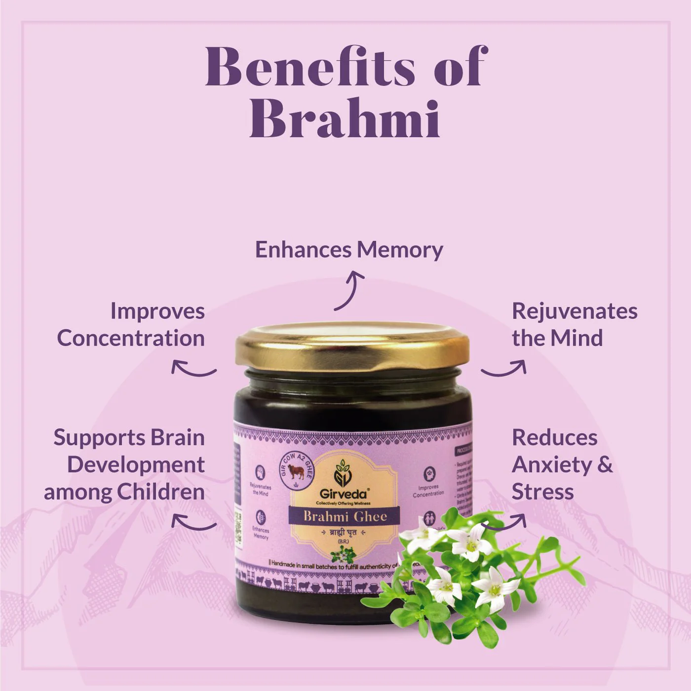 Brahmi Ghee 200Ml - Image 3