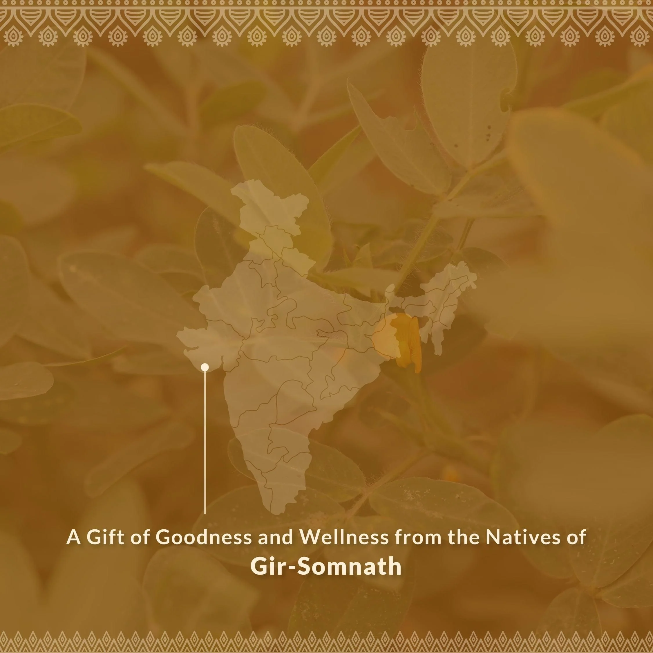 Health & Wellness Duo - Image 3