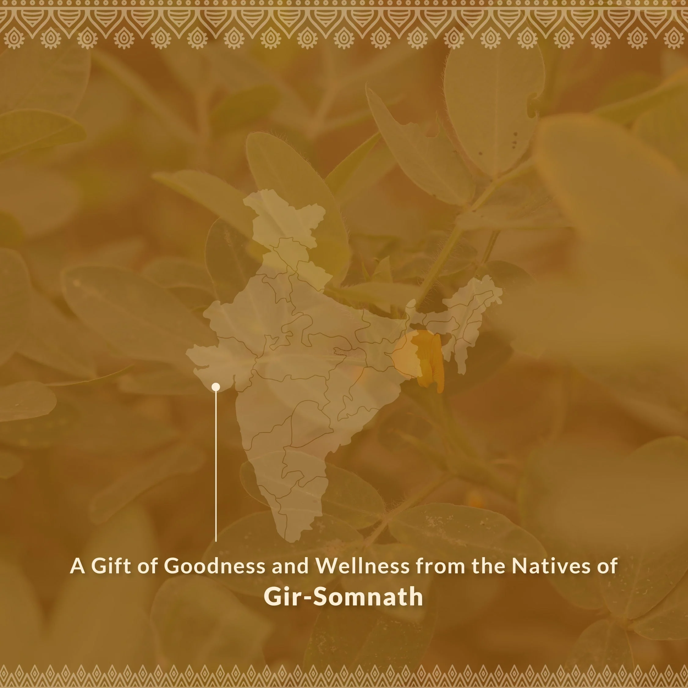 Health & Wellness Duo - Image 8