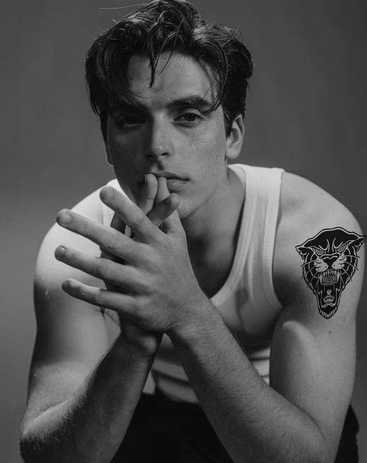 Panther Head - Image 3