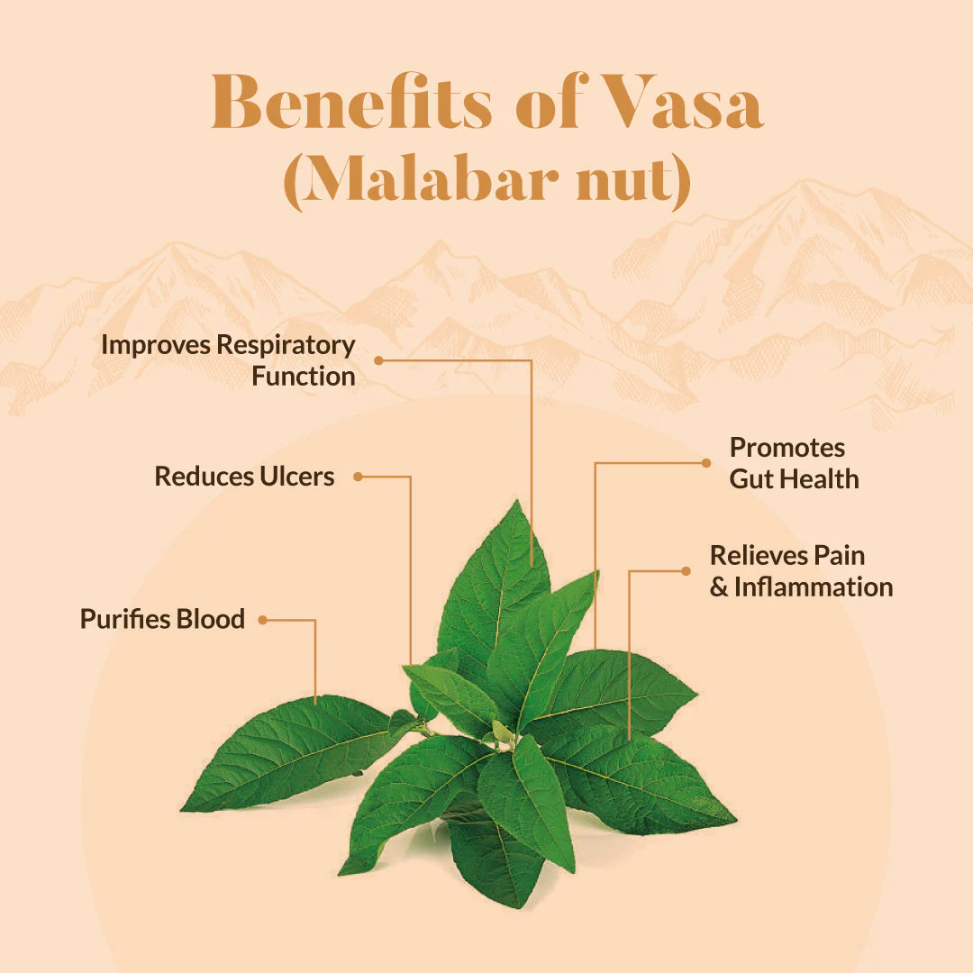 Vasa Ghee 200Ml - Image 3